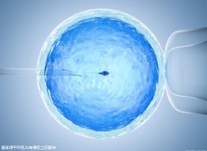 关于靠谱试管代孕机构